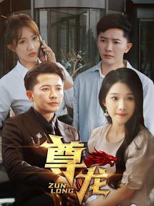 新版：尊龙（97集）短剧男主角排行榜