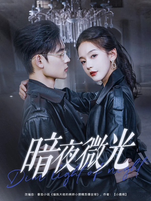 暗夜微光（86集）韩国短剧精彩片段