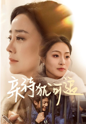 亲待犹可追（70集）重生之追夫火葬场短剧