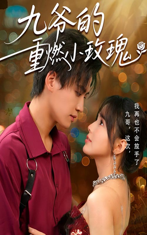 九爷的重燃小玫瑰（67集）红果短剧大结局抢先看