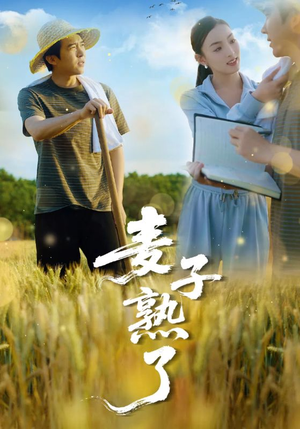 麦子熟了（52集）万里归乡短剧精彩剧情