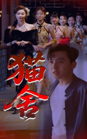 猫舍（34集）免费看短剧大结局