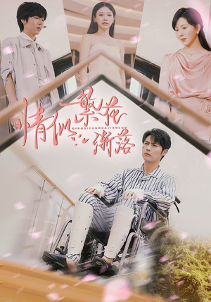 情似繁花渐落（62集）热播短剧火爆来袭
