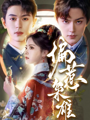 偏惹枭雄（82集）短剧精选全集无广告