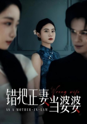 错把正妻当婆婆（46集）最新短剧火爆来袭