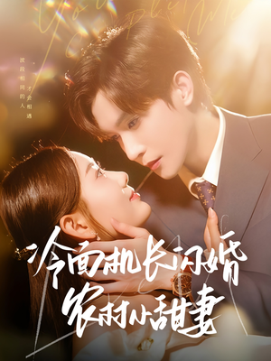 冷面机长闪婚农村小甜妻（73集）热门短剧不停更新