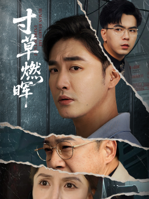寸草燃晖（70集）热播短剧停不下来