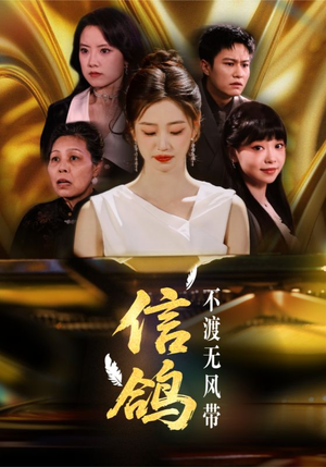 信鸽不渡无风带（65集）红果短剧免费看剧