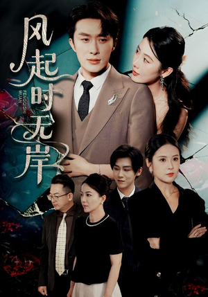 风起时无岸（58集）短剧全集VR沉浸版