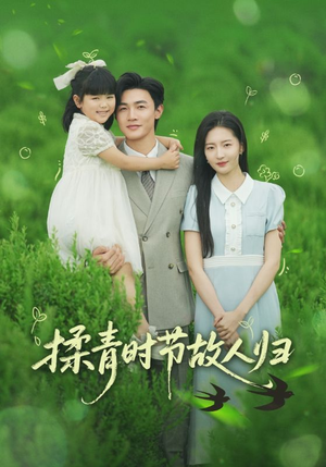 揉青时节故人归（60集）超火爆短剧抢先看全集