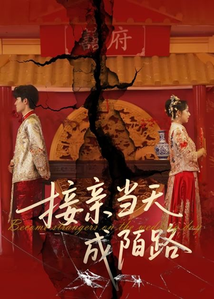 接亲当天成陌路（50集）短剧超清全集在线看