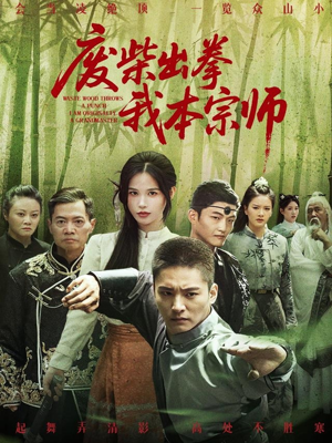 废柴出拳我本宗师（61集）热门小说改编短剧