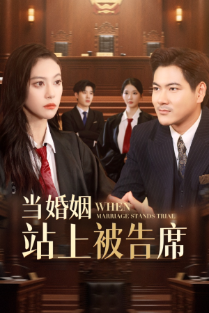 当婚姻站上被告席（30集）短剧全季限免大放送