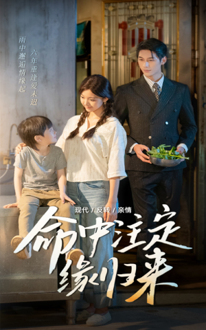 命中注定缘归来（63集）精彩短剧片段分享