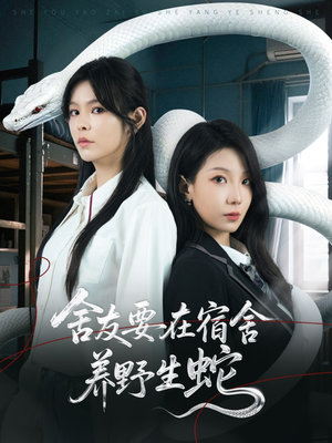 舍友要在宿舍养野生蛇（60集）短剧大结局超前点映
