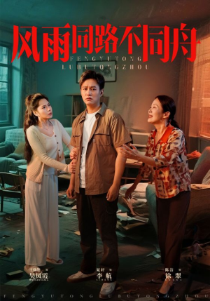 风雨同居不同舟（32集）短剧合集4K修复版