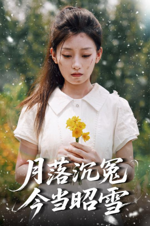 月落沉冤今当昭雪（60集）热门短剧推荐精彩片段