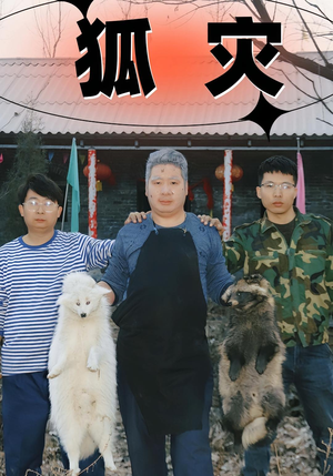 狐灾（25集）好看又上头的短剧