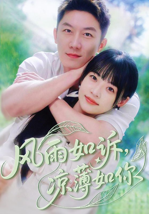 风雨如诉凉薄如你（70集）短剧全集VR沉浸版