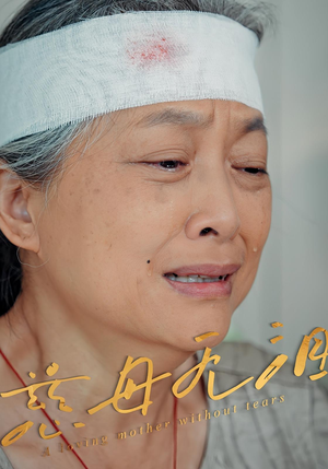慈母无泪（30集）好看短剧不容错过