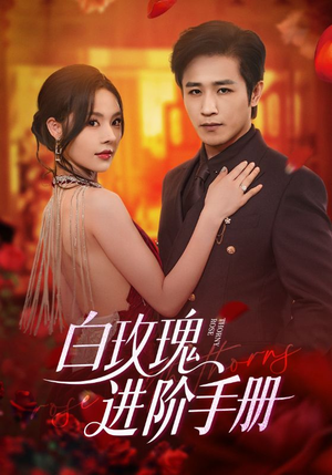 白玫瑰进阶手册（64集）一起看短剧下集更精彩