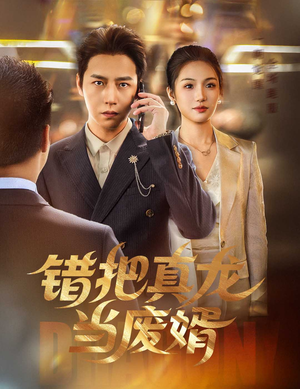 错把真龙当废婿（60集）好看又上头的短剧