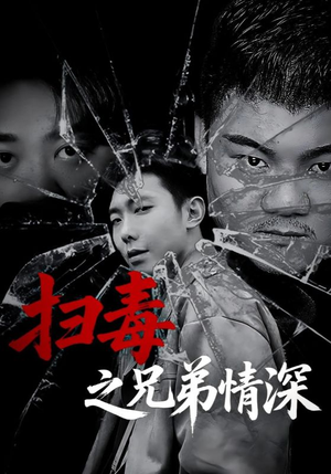 扫毒之兄弟情深（50集）热播短剧火爆来袭