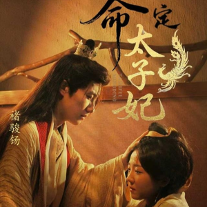 命定太子妃（63集）精彩短剧等你来看