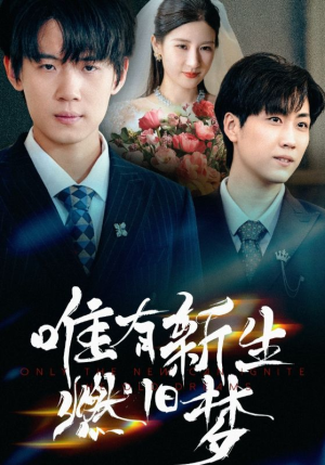 唯有新生燃旧梦（55集）红果短剧免费看剧