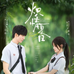 炽情夏日（80集）短剧分享精彩后续