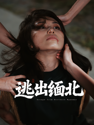 逃出缅北（62集）短剧来了精彩继续