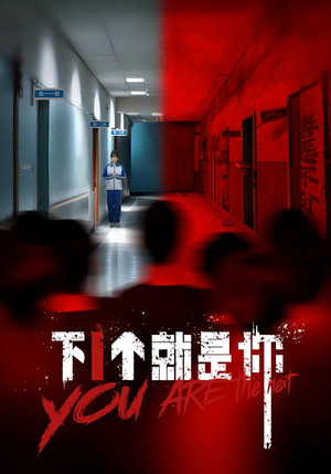 下1个就是你（18集）热播短剧停不下来