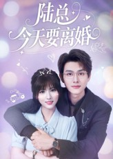 陆总今天要离婚（81集）短剧大结局合集放送
