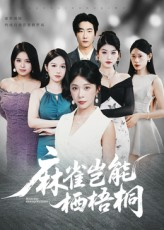 麻雀岂能栖梧桐（31集）火热短剧正在热播