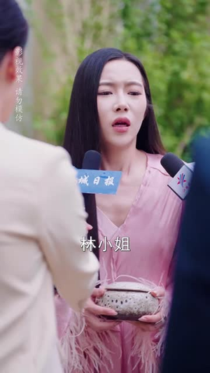 迟先生太太到处跑（73集）热播短剧抢先看大结局