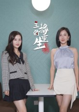 主播的重生（15集）每天更新精彩短剧