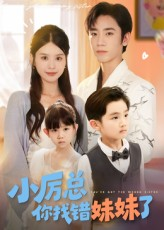 小厉总你找错妹妹了（52集）短剧全集投屏大屏看
