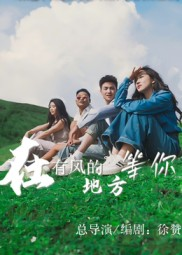 在有风的地方等你（32集）短剧每日分享推荐