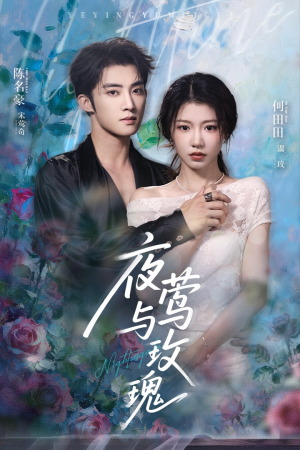 夜莺与玫瑰（66集）短剧合集杜比音效版