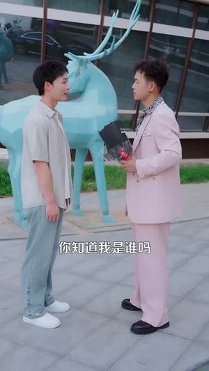 都市一品傻婿（96集）短剧推荐超甜网剧