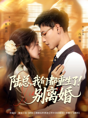 陆总我们都重生了别离婚（79集）每天更新热门短剧