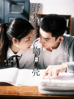 野狗吻月亮（68集）短剧抢先看精彩无限量