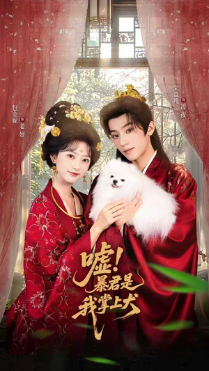 嘘暴君是我掌上犬短剧全集无删完整版