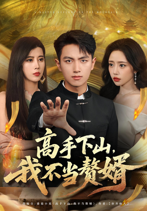 高手下山我不当赘婿（66集）这个短剧太精彩了