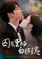 囚笼里的白玫瑰（59集）深夜短剧推荐精彩片段