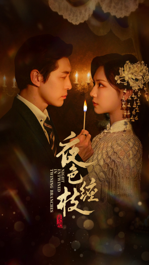 夜色缠枝百度HE版本（62集）短剧全集VR沉浸版