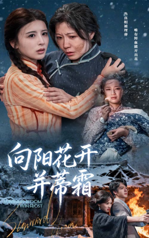 向阳花开并蒂霜（60集）精彩短剧继续更新