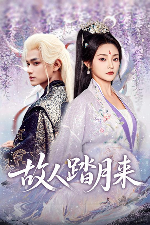 故人踏月来（60集）全集短剧大结局抢先看