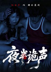 夜半诡声（28集）百亿短剧好看计划