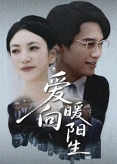 爱向暖阳生（50集）超好看的短剧强烈推荐
